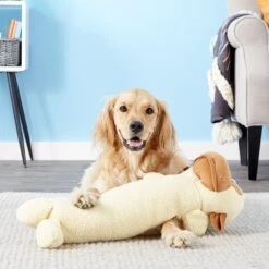 Petlou Monkey Stick Plush Dog Toy 6 Petlou Monkey Stick Plush Dog Toy -PetSafe Kong Shop 124976 PT2. AC SS1800 V1554126579