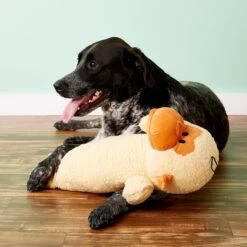 Petlou Monkey Stick Plush Dog Toy 7 Petlou Monkey Stick Plush Dog Toy -PetSafe Kong Shop 124976 PT3. AC SS1800 V1595435496