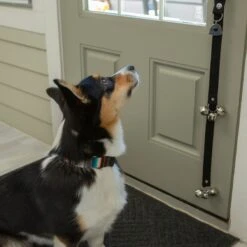 Caldwell's Potty Bells Original Dog Doorbell -PetSafe Kong Shop 125147 PT5. AC SS1800 V1529589639