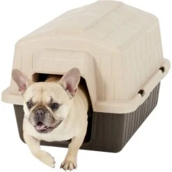 Aspen Pet Petbarn 3 Plastic Dog House -PetSafe Kong Shop 125280 PT3. AC SS1800 V1569021236