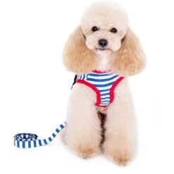 Alfie Pet Vince Sailor Polyester Back Clip Dog Harness & Leash