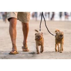 Mighty Paw BungeeX2 Nylon Reflective Double Dog Leash -PetSafe Kong Shop 126031 PT7. AC SS1800 V1498479356