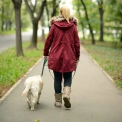 Mighty Paw HandleX2 Nylon Reflective Dog Leash 12 Mighty Paw HandleX2 Nylon Reflective Dog Leash -PetSafe Kong Shop 126046 PT5. AC SS1800 V1495836857