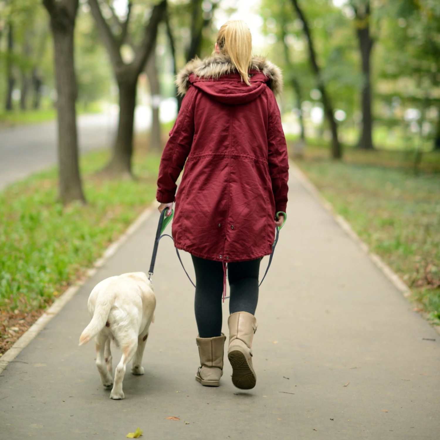 Mighty Paw HandleX2 Nylon Reflective Dog Leash 6 Mighty Paw HandleX2 Nylon Reflective Dog Leash - Image 6