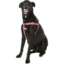 Blueberry Pet Spring Prints Nylon Step In Back Clip Dog Harness -PetSafe Kong Shop 126474 PT2. AC SS1800 V1575412428