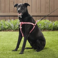 Blueberry Pet Spring Prints Nylon Step In Back Clip Dog Harness -PetSafe Kong Shop 126474 PT4. AC SS1800 V1575423801