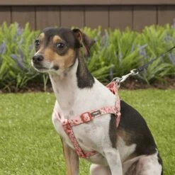 Blueberry Pet Floral Prints Neoprene Step In Back Clip Dog Harness -PetSafe Kong Shop 126477 PT4. AC SS1800 V1575423780