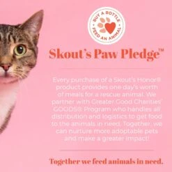 Skout's Honor Professional Strength Litter Box Deodorizer -PetSafe Kong Shop 126623 PT6. AC SS1800 V1658194725