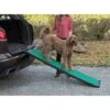 Pet Gear Bi-Fold Dog Car Ramp With SupertraX