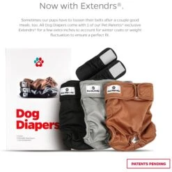 Pet Parents Washable Male & Female Dog Diapers + Extendrs -PetSafe Kong Shop 126897 PT2. AC SS1800 V1698425549