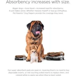 Pet Parents Washable Male & Female Dog Diapers + Extendrs -PetSafe Kong Shop 126897 PT4. AC SS1800 V1698414633