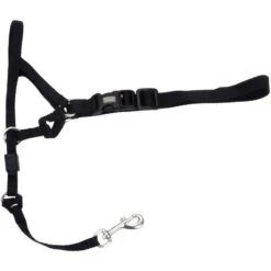 Walk 'n Train Polyester Dog Headcollar