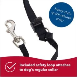 Walk 'n Train Polyester Dog Headcollar 13 Walk 'n Train Polyester Dog Headcollar -PetSafe Kong Shop 128171 PT5. AC SS1800 V1678123945
