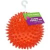 Gnawsome Squeaker Ball Dog Toy, Color Varies