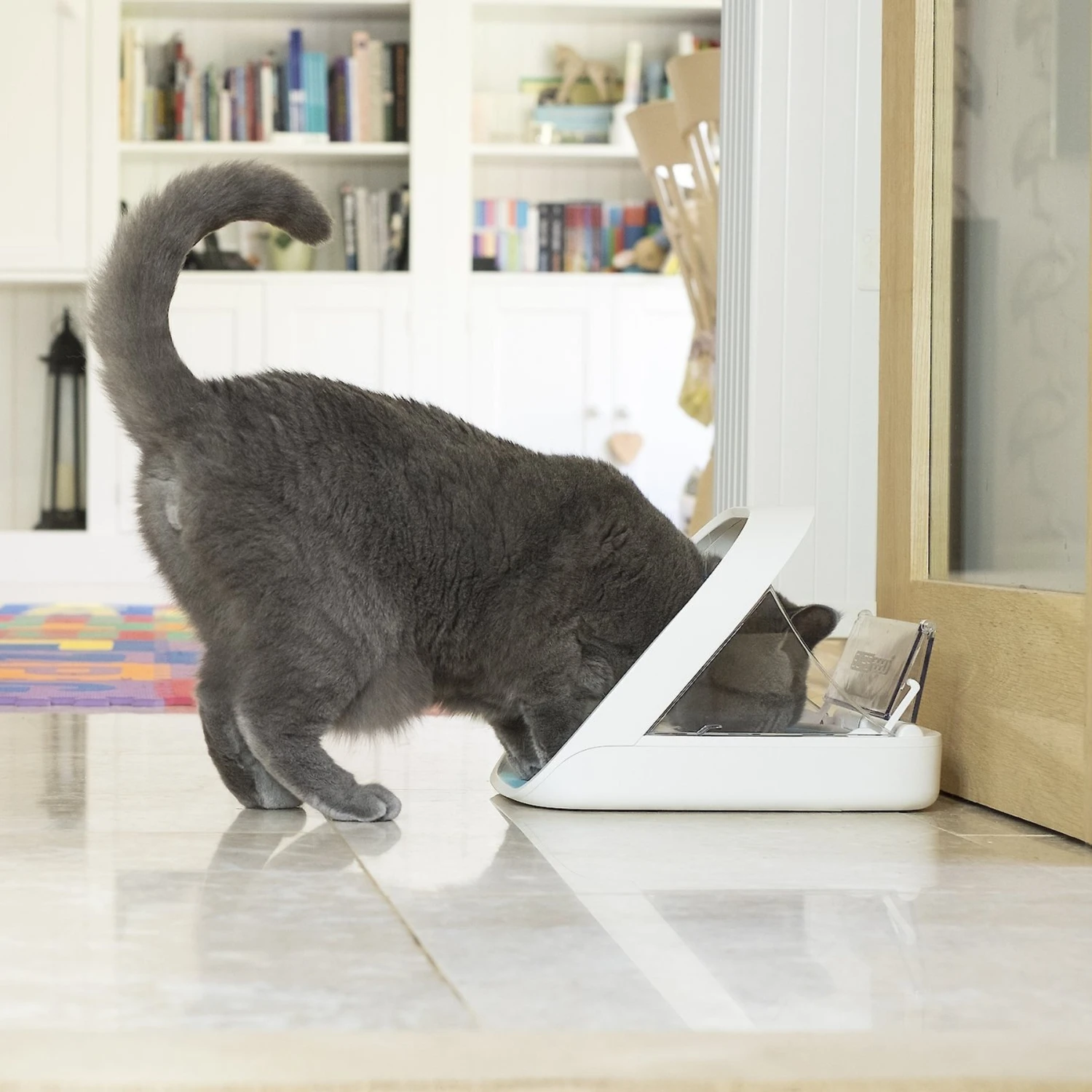 SureFeed Microchip Small Dog & Cat Feeder 3 SureFeed Microchip Small Dog & Cat Feeder - Image 3