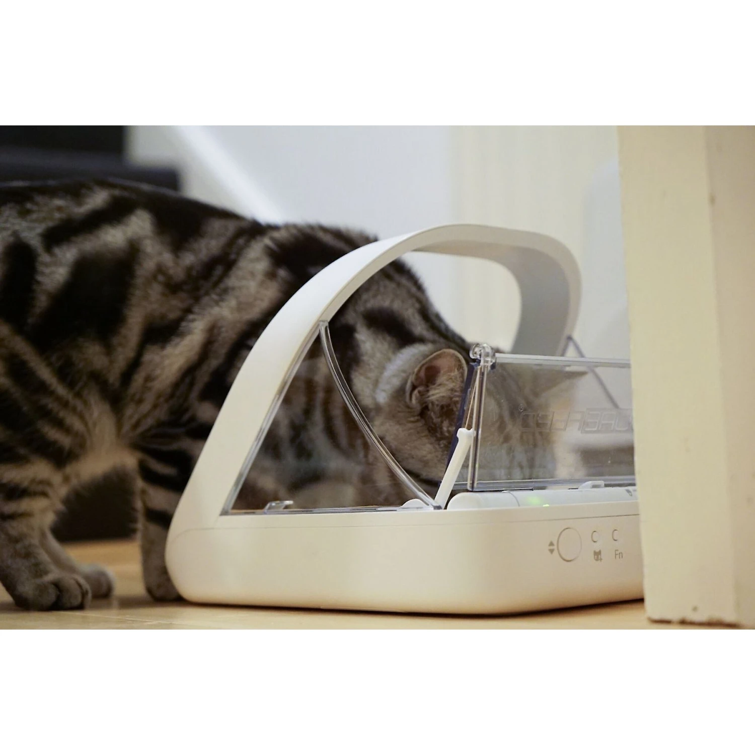 SureFeed Microchip Small Dog & Cat Feeder 4 SureFeed Microchip Small Dog & Cat Feeder - Image 4