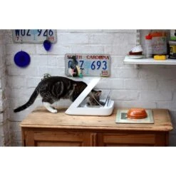 SureFeed Microchip Small Dog & Cat Feeder 13 SureFeed Microchip Small Dog & Cat Feeder -PetSafe Kong Shop 130076 PT8. AC SS1800 V1499290919