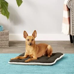 Dog Gone Smart Sleeper Cushion Dog Crate Mat 8 Dog Gone Smart Sleeper Cushion Dog Crate Mat -PetSafe Kong Shop 130276 PT2. AC SS1800 V1558454911