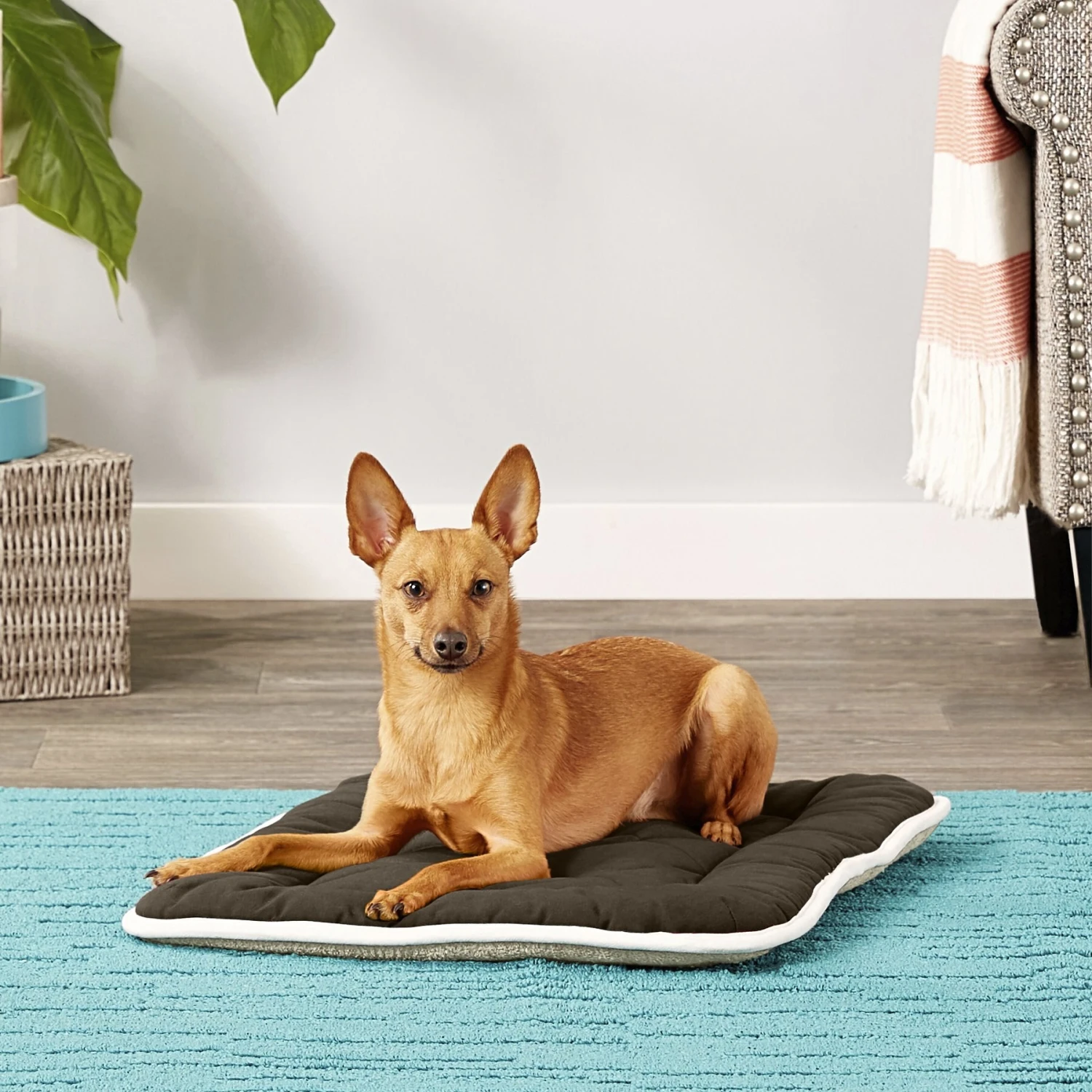 Dog Gone Smart Sleeper Cushion Dog Crate Mat 3 Dog Gone Smart Sleeper Cushion Dog Crate Mat - Image 3