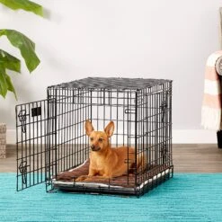 Dog Gone Smart Sleeper Cushion Dog Crate Mat 9 Dog Gone Smart Sleeper Cushion Dog Crate Mat -PetSafe Kong Shop 130276 PT3. AC SS1800 V1558454833