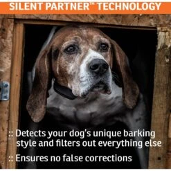 SportDOG NoBark SBC-R Waterproof Rechargeable Dog Bark Collar -PetSafe Kong Shop 131042 PT3. AC SS1800 V1590606176