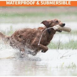 SportDOG NoBark SBC-R Waterproof Rechargeable Dog Bark Collar -PetSafe Kong Shop 131042 PT4. AC SS1800 V1590606172