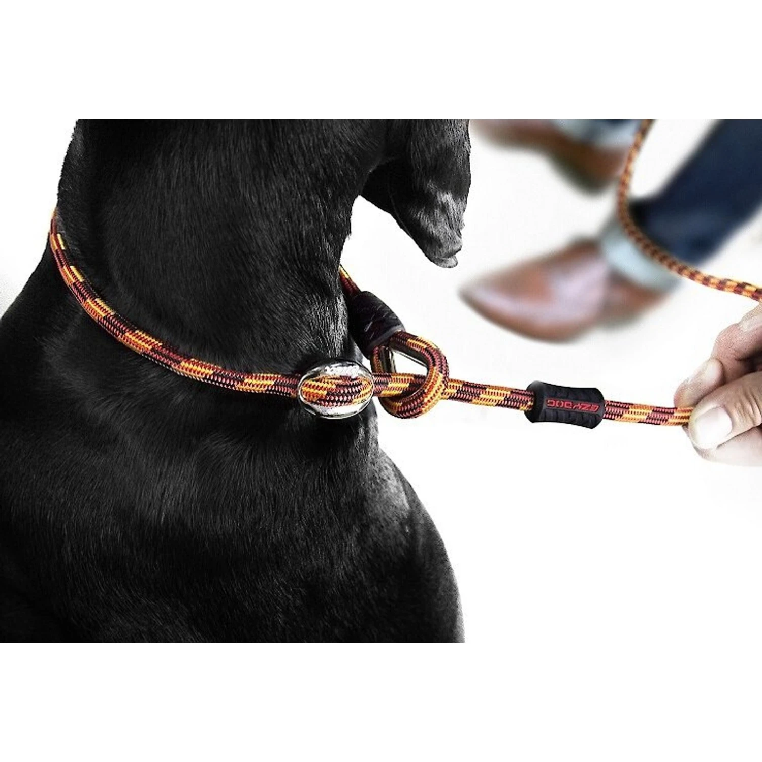 EzyDog Luca All-In-One Dog Slip Collar & Leash 2 EzyDog Luca All-In-One Dog Slip Collar & Leash - Image 2