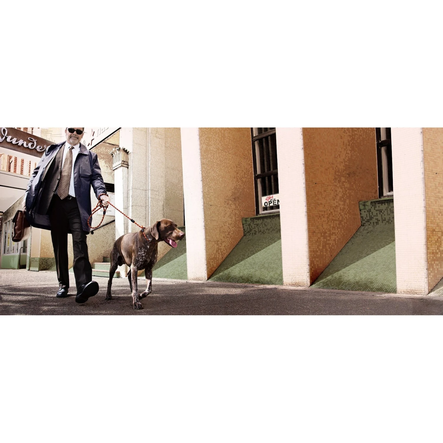 EzyDog Luca All-In-One Dog Slip Collar & Leash 3 EzyDog Luca All-In-One Dog Slip Collar & Leash - Image 3