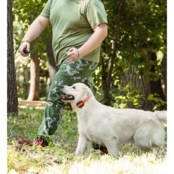 PetSpy M919 Premium 1/2 Mile Range Remote Dog Training Collar -PetSafe Kong Shop 131248 PT8. AC SS1800 V1523630140