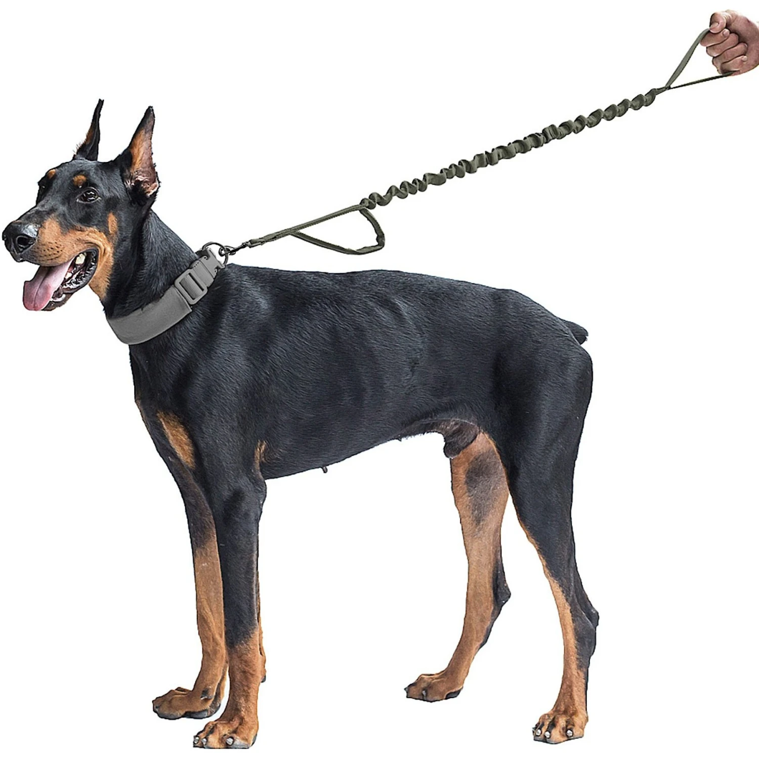 OneTigris Training Nylon Bungee Dog Leash 2 OneTigris Training Nylon Bungee Dog Leash - Image 2