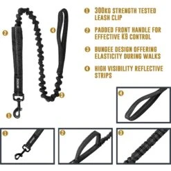 OneTigris Training Nylon Bungee Dog Leash 15 OneTigris Training Nylon Bungee Dog Leash -PetSafe Kong Shop 132259 PT7. AC SS1800 V1560959831
