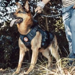 OneTigris FIRE WATCHER 2.0 Tactical Dog Harness -PetSafe Kong Shop 132279 PT3. AC SS1800 V1698433918