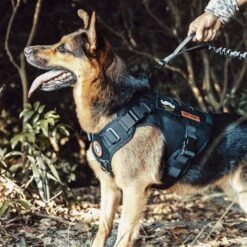 OneTigris FIRE WATCHER 2.0 Tactical Dog Harness -PetSafe Kong Shop 132279 PT4. AC SS1800 V1698433919