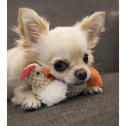 GoDog Checkers Chew Guard Rooster Squeaky Plush Dog Toy 12 GoDog Checkers Chew Guard Rooster Squeaky Plush Dog Toy -PetSafe Kong Shop 132543 PT5. AC SS1800 V1639010274