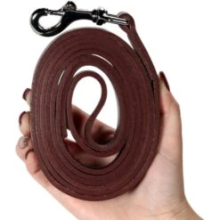 Logical Leather Heavy Duty Dog Leash 10 Logical Leather Heavy Duty Dog Leash -PetSafe Kong Shop 133205 PT3. AC SS1800 V1501008056