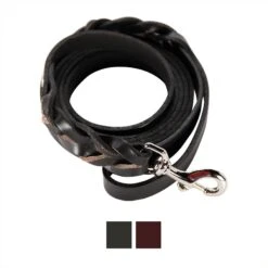 Logical Leather Braided Dog Leash