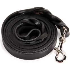 Logical Leather Braided Dog Leash 11 Logical Leather Braided Dog Leash -PetSafe Kong Shop 133209 PT3. AC SS1800 V1501008640
