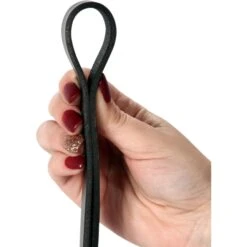 Logical Leather Braided Dog Leash 14 Logical Leather Braided Dog Leash -PetSafe Kong Shop 133209 PT6. AC SS1800 V1501008643