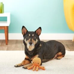 Jax And Bones Elton The Octopus Rope Dog Toy -PetSafe Kong Shop 133575 PT7. AC SS1800 V1523638280