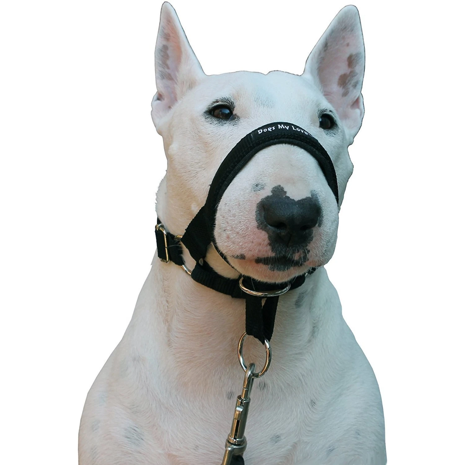 Dogs My Love Nylon Dog Headcollar 3 Dogs My Love Nylon Dog Headcollar - Image 3