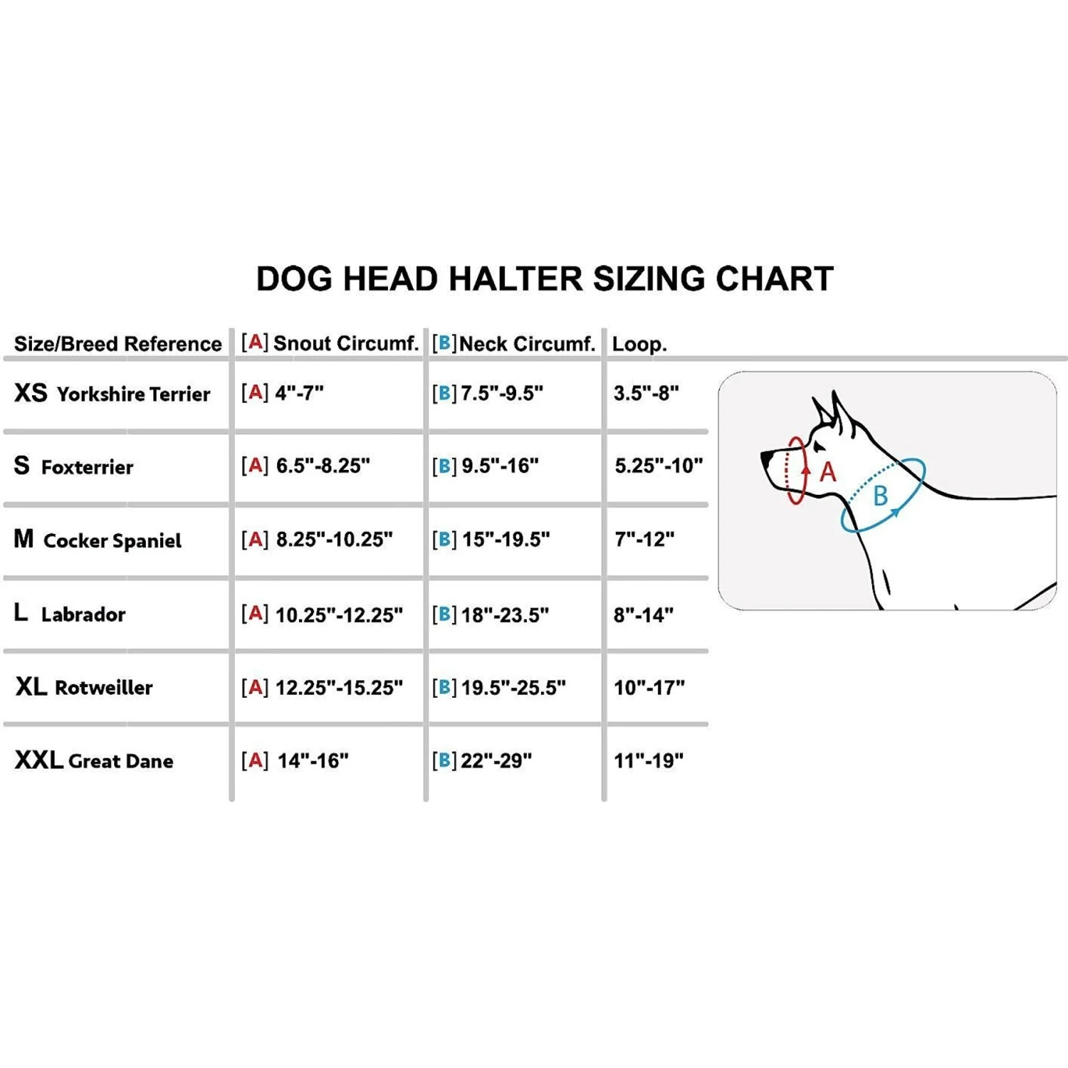 Dogs My Love Nylon Dog Headcollar 4 Dogs My Love Nylon Dog Headcollar - Image 4