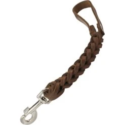 Dogs My Love Braided Leather Short Dog Leash -PetSafe Kong Shop 134145 PT2. AC SS1800 V1502145482