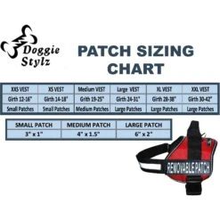 Doggie Stylz Therapy Dog Patch, 2 Count -PetSafe Kong Shop 134423 PT4. AC SS1800 V1505748138