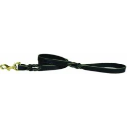 OmniPet Latigo Twisted Leather Dog Leash