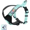Pawtitas Nylon Reflective Back Clip Dog Harness
