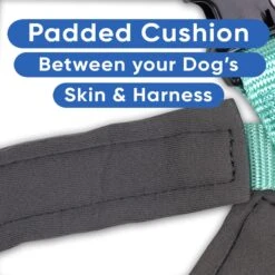 Pawtitas Nylon Reflective Back Clip Dog Harness -PetSafe Kong Shop 134666 PT4. AC SS1800 V1681248711