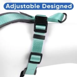 Pawtitas Nylon Reflective Back Clip Dog Harness -PetSafe Kong Shop 134666 PT5. AC SS1800 V1682018212