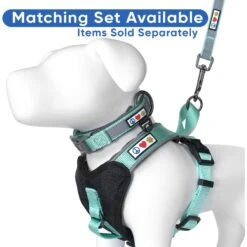 Pawtitas Nylon Reflective Back Clip Dog Harness -PetSafe Kong Shop 134666 PT7. AC SS1800 V1681333090