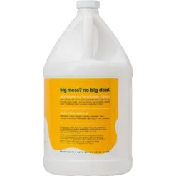 KIDS 'N' PETS Instant All Purpose Stain & Odor Remover, 1-gal -PetSafe Kong Shop 134700 PT2. AC SS1800 V1689701169