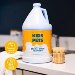 KIDS 'N' PETS Instant All Purpose Stain & Odor Remover, 1-gal -PetSafe Kong Shop 134700 PT5. AC SS1800 V1689701197